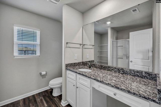 713 Sapodilla Lane, Gilbert, SC 29054