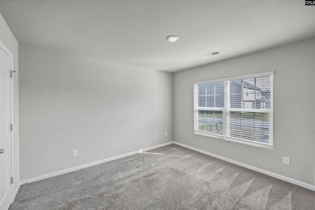 713 Sapodilla Lane, Gilbert, SC 29054