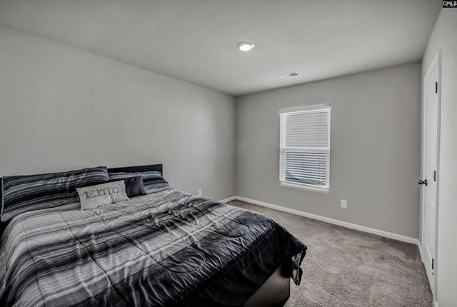 713 Sapodilla Lane, Gilbert, SC 29054