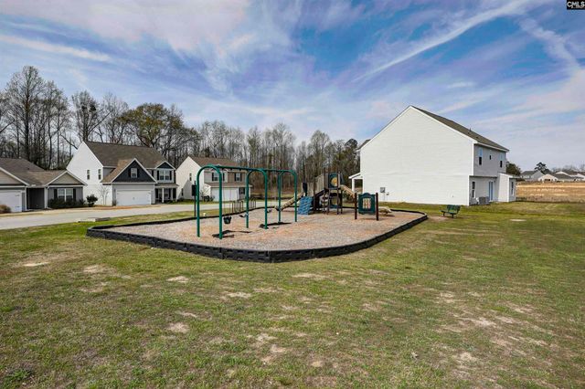 713 Sapodilla Lane, Gilbert, SC 29054