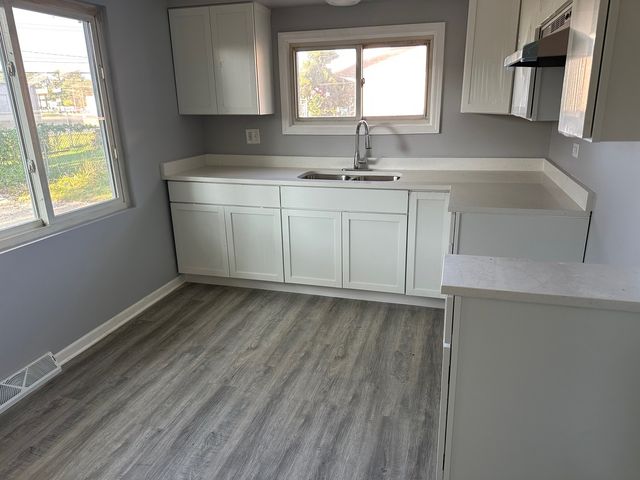 2956 Sherwood Avenue, Markham, IL 60428