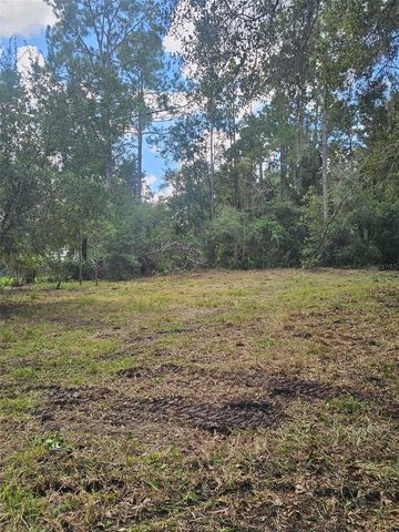 1746 COUNTRY WOODS DRIVE, Lakeland, FL 33809