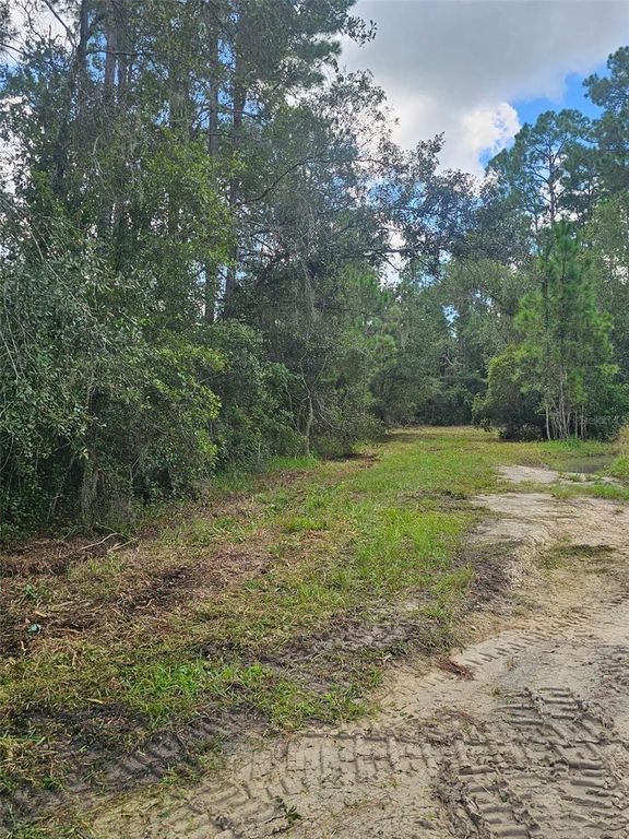 1746 COUNTRY WOODS DRIVE, Lakeland, FL 33809