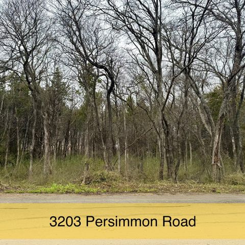3203 Persimmon Road, Dallas, TX 75241