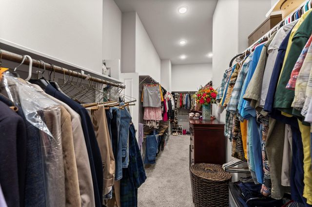 15313 Garnet Groves Drive, Conroe, TX 77302