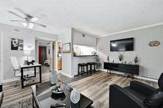 711 Eberhart LN 202, Austin, TX 78745