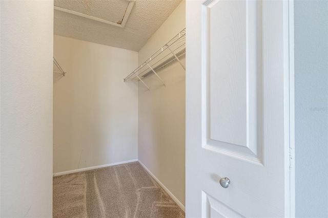 5563 BAYWATER DRIVE 37, Tampa, FL 33615