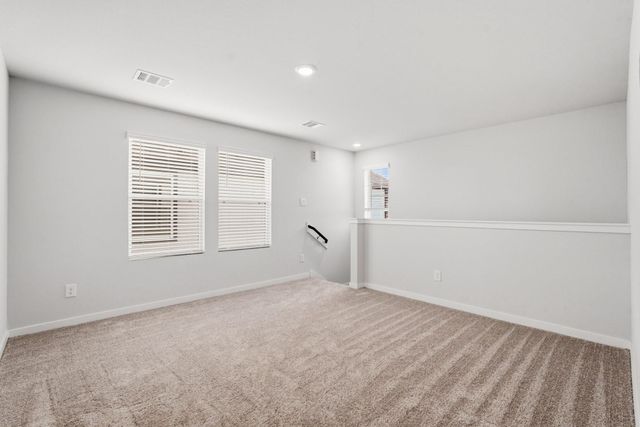 29131 Dandelion Sky Drive, Waller, TX 77484