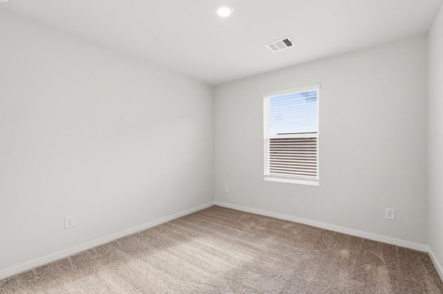 29131 Dandelion Sky Drive, Waller, TX 77484