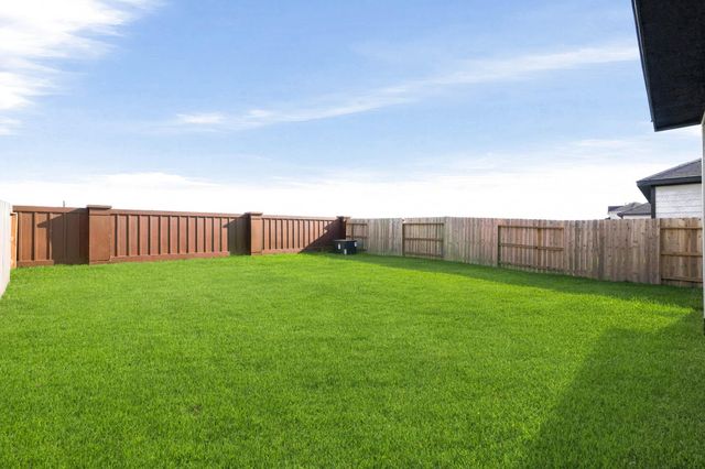 29131 Dandelion Sky Drive, Waller, TX 77484