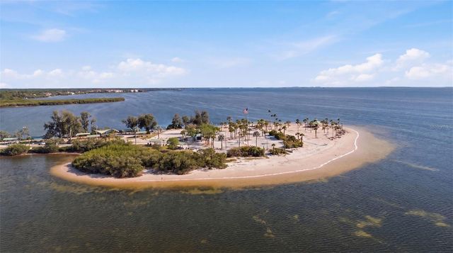 300 S FLORIDA AVENUE 100K, Tarpon Springs, FL 34689