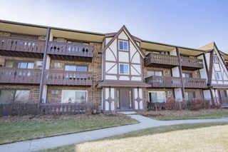 4 Crestview Lane 10, Vernon Hills, IL 60061