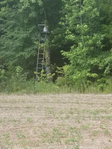 1075 E Orgainsville RD, Skipwith, VA 23968