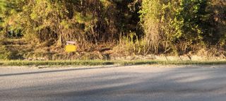 49 County Road 3479a, Cleveland, TX 77327