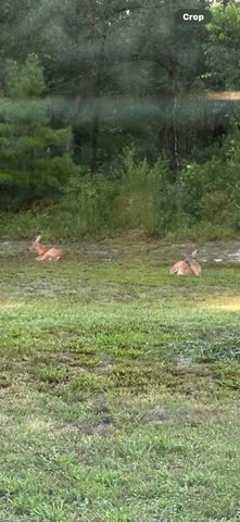 150 Houck Road, Perry, FL 32348