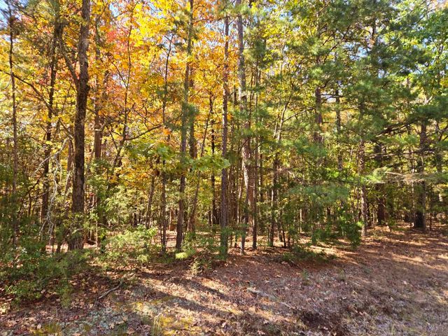 Lot 149 Grenada Circle, Fairfield Bay, AR 72088