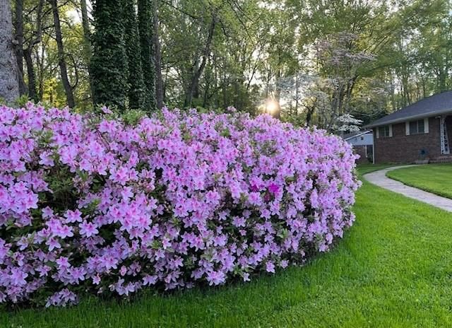 3137 Beechwood Drive, Lithia Springs, GA 30122