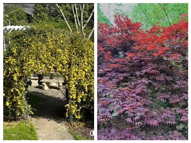 3137 Beechwood Drive, Lithia Springs, GA 30122