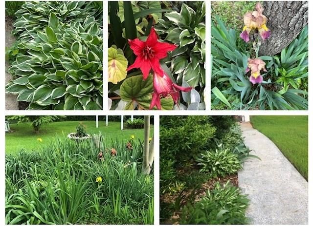 3137 Beechwood Drive, Lithia Springs, GA 30122