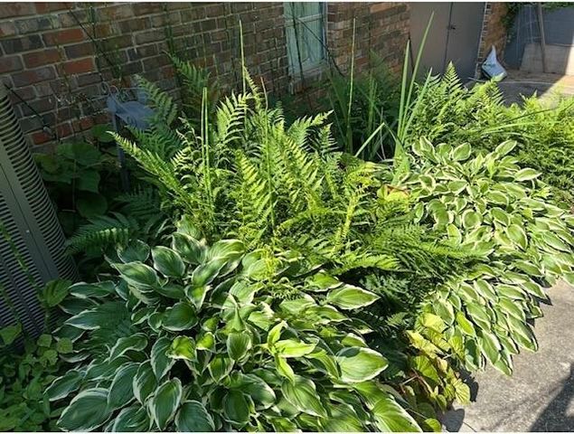 3137 Beechwood Drive, Lithia Springs, GA 30122