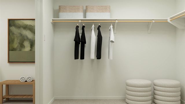 331 Pink Footed PASS, Uhland, TX 78640