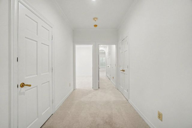 58 W Terrace Drive, Houston, TX 77007