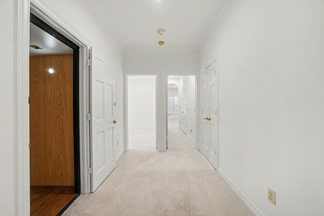 58 W Terrace Drive, Houston, TX 77007