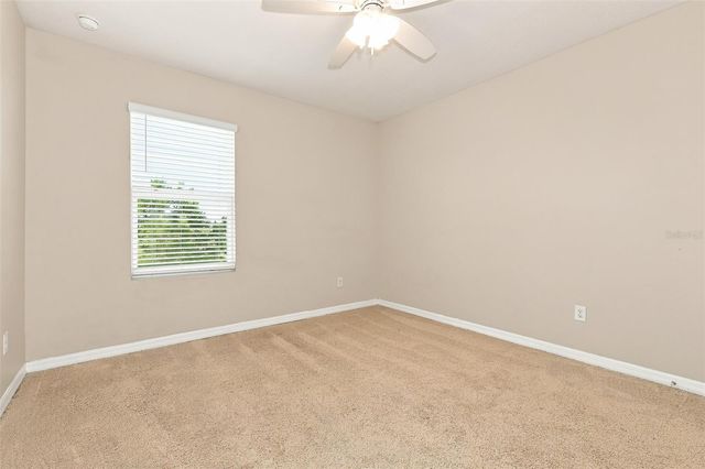 36205 JENNY LYNNE CIRCLE, Zephyrhills, FL 33541