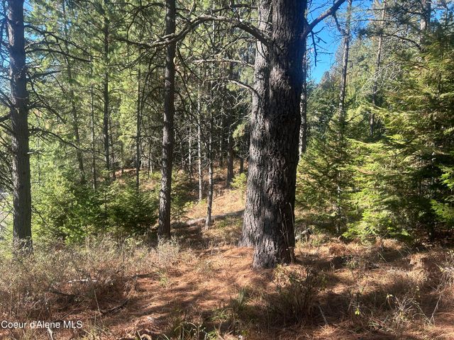 NKA E Hayden Lake Rd, Hayden, ID 83835