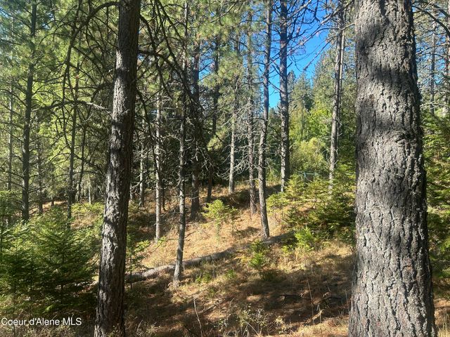 NKA E Hayden Lake Rd, Hayden, ID 83835