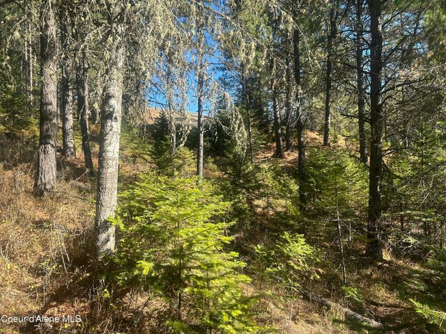 NKA E Hayden Lake Rd, Hayden, ID 83835