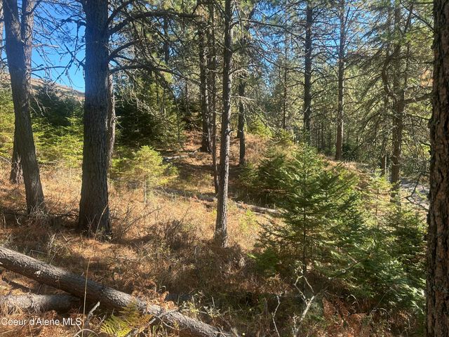 NKA E Hayden Lake Rd, Hayden, ID 83835