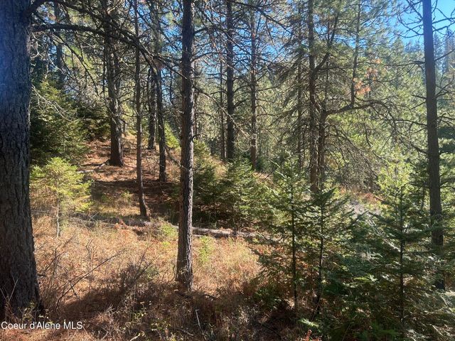 NKA E Hayden Lake Rd, Hayden, ID 83835