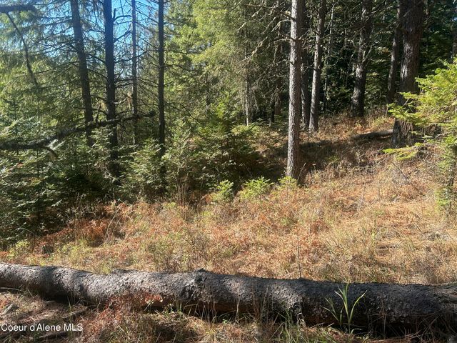 NKA E Hayden Lake Rd, Hayden, ID 83835