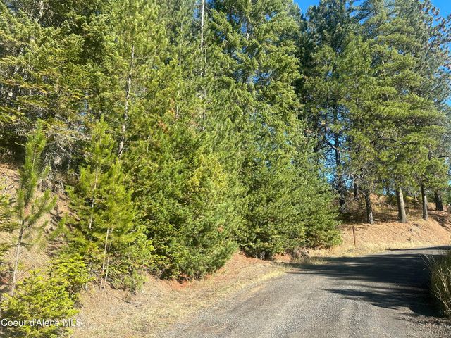 NKA E Hayden Lake Rd, Hayden, ID 83835