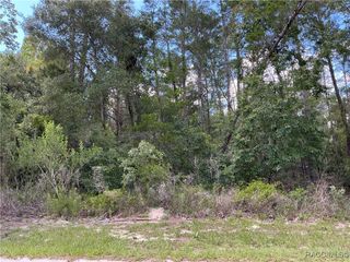 65 Bells Of Ireland Court, Homosassa, FL 34446
