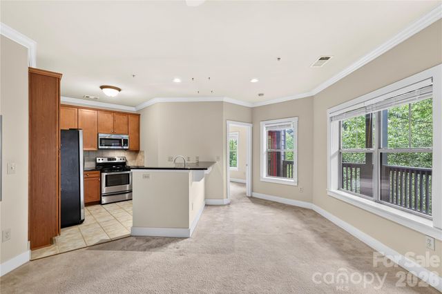 9 Kenilworth Knolls 303, Asheville, NC 28805