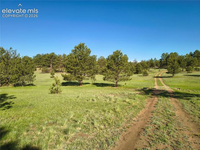 314 Arrowhead Drive, Florissant, CO 80816