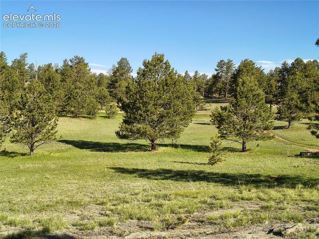 314 Arrowhead Drive, Florissant, CO 80816