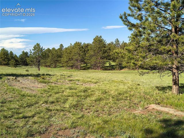 314 Arrowhead Drive, Florissant, CO 80816