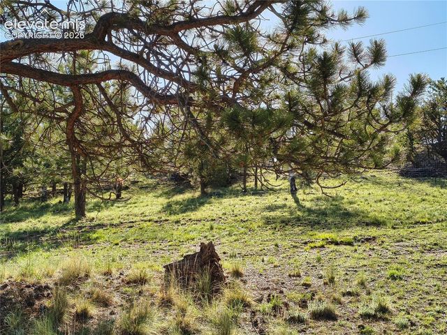 314 Arrowhead Drive, Florissant, CO 80816