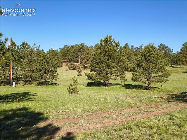 314 Arrowhead Drive, Florissant, CO 80816