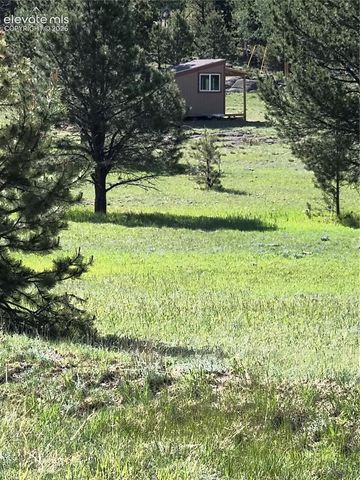 314 Arrowhead Drive, Florissant, CO 80816
