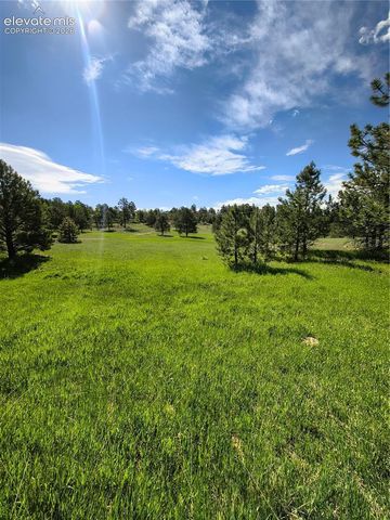 314 Arrowhead Drive, Florissant, CO 80816