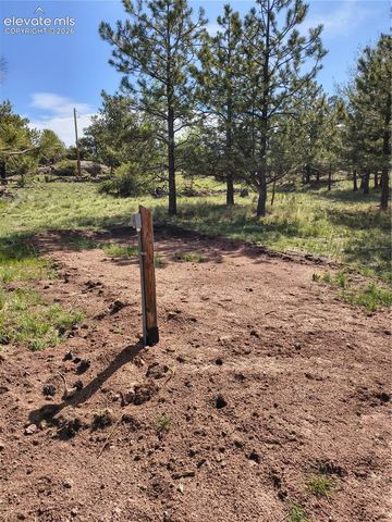 314 Arrowhead Drive, Florissant, CO 80816