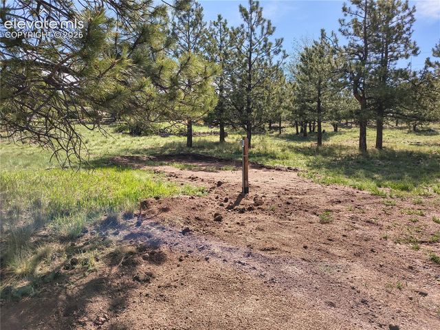 314 Arrowhead Drive, Florissant, CO 80816