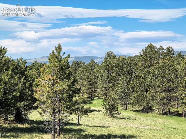 314 Arrowhead Drive, Florissant, CO 80816