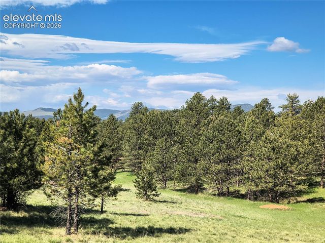 314 Arrowhead Drive, Florissant, CO 80816