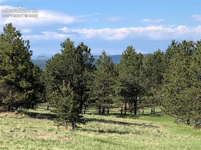 314 Arrowhead Drive, Florissant, CO 80816