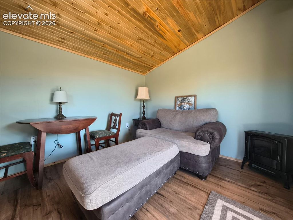 314 Arrowhead Drive, Florissant, CO 80816 — photo 2